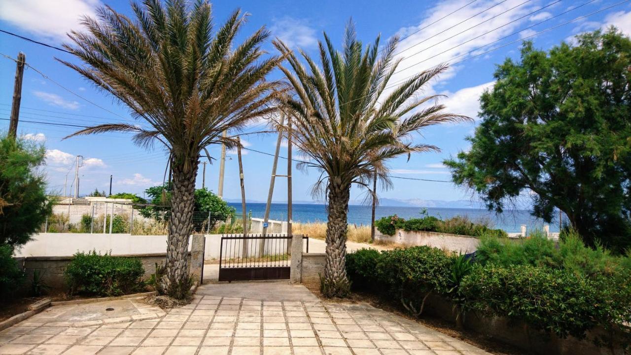 Summerhouse Peggy: Close To Athens Airport By The Sea Loútsa Exterior foto